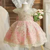 Robes de princesse élégantes brodées pour bébés filles, dos nu, nœud en dentelle, robe de soirée de mariage, Costume de cérémonie pour enfants 240311