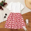 Meisjesjurken 3-12 jaar kinderlijst kleding meisjes valentijnsjurk vestidos print hartvormige kinderjurken opwindende zomerprinsesjurk 240315