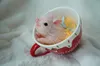 4,5 tum Realisitc Pig Doll 11cm Bed Silicone Accessories Toy Cute Lifelike Piglet Doll Decompression Toys 240312