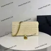 Borsa da donna alla moda borsa griffata yl Familys lusso Nuova borsa per tessitura a vite Nappa a catena Spiaggia Prepuzio Tracolla Borsa a tracolla Borsa versatile sotto le ascelle