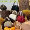 Design handbag clearance sale Familys New Small Bag Saddle Half Month Handheld Shoulder Diagonal Straddle Womens