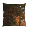 Kissen Dekoration Zuhause Landschaft Abdeckung Schneeflocke Überwurf Abdeckungen Wald Baum 45x45 Beflockung Samt Sofa E1030