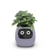 Home Garden Flower Pots Creative Interaction Mini Smart Garden Indoor Smart Flower Planter App Internet Control Flowerpot 240304