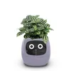 Home Garden Flower Pots Creative interaction mini smart garden indoor Smart flower planter APP Internet control Flowerpot 240304