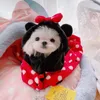 Dog Apparel Luxury Cartoon Sleeping Mat Indoor Small Medium Puppy Animal Pet Cat Pajamas Flannel Soft Hoodie Chihuahua Yorkies