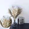 Decoratieve bloemen pluizige pampa's gedroogd boeket Boho Home tafel decor natuurlijke Phragmites kunstmatige bloemen bruiloft decoratie feestartikelen