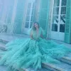 Pretty Sage Green Puffy Tulle Dress Ball Gown Prom Party Dresses Ruffled Long Foto Shoot Dress Photography Celebrity Clows