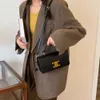 celini bag celiene bag 크로스 바디 디자이너 가방 셀리 니즘 세련된 트렌디 텍스처 매일 통근을위한 다재다능한 뷰티 소셜 시트 두부 가방 대각선 크로스 백 363