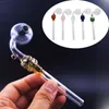 10pcs kafatası yağı brülör cam boru sigara tüp su borusu nargile shisha teçhizatları tütün sigaraları el kaşık boruları