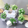 Flores decorativas 1 pieza plantas artificiales falsas simuladas decoración del hogar adorno de mesa eucalipto bonsái pequeño