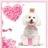 Vêtements pour chiens Stobok Robe d'anniversaire Chiot Rose Tutu Jupe Dentelle Couronne Chapeau Bowtie Pet Costume Fille Mariage Tenue