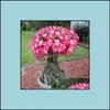 Outros suprimentos de jardim Pátio Gramado Home 20 Pcs Misto Real Adenium Obesum Desert Rose Flor Bonsai Succent Plantas Varanda Vaso 100% D Otobv