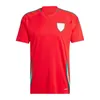 2024 Euro Wales Fußballtrikots BALE WILSON ALLEN RAMSEY Nationalmannschaft 24 25 VOKES Heim-Auswärts-Fußballtrikots Herren-Sets Kinder-Kit-Uniformen