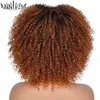 Krótkie włosy Afro Kinky Curly Peruki z grzywką afrykańskie syntetyczne ombre bezskrowane peruki dla czarnych kobiet Wysoka temperatura 240305