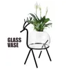 Vaser Green Dill Desktop Hydroponic Flower Pot Office Plant Stands Glass Arrangement Vase