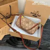 Borsa da donna sotto le ascelle con stampa celebrità Internet all'ingrosso della fabbrica 2024 Borsa a tracolla portatile piccola con catena strutturata quadrata coreana in stile occidentale