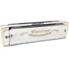 الآلات EastTop T008 Paddy 12 Tones Silver Harmonica Brass Reedplates Phosphor Bronze Reeds Diatonic Blues Harp Harmonica