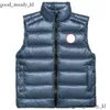 Goos Designer Quality Goose White Duck Down Jacket Winter Warmer Womens Ladys Vest Highend Body Warmer 558