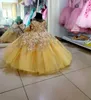 Girl Dresses Bright Yellow Flower Real Image Sheer Neck Lace Pearls Ball Gown Baby Wedding Dress With Bow Pageant Gowns