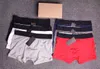 Designer Mens Underwear Luxury Brand Boxers 100% coton Sexe Sabilt Taille M-2xl 3pcs avec boîte