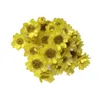 Kwiaty dekoracyjne gipsophila bukiety kolorowe suszone prawdziwe dotyk opiekuńczy szerokie użycie wiecznego oddechu na imprezę