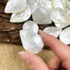 Dangle Chandelier 5pcs Natural Shell Water Drop Pendant Mop DIY DIY 진주 참을