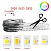 Paski LED Paspe Light DC12V 5M 300 LED SMD3528 5050 5630 Diodetape Pojedyncze kolory Wysokiej jakości Wstążka Elastyczne oświetlenie dekoracje domowe DHSH7