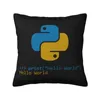 Kuddprogrammerare Python -symbolomslag för soffa Datorutvecklare Programmeringskodare Nordic Cover Square Pillow Case