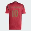 2024 Belgiens fotbollströjor Euro Trossard Doku de Bruyne Tielemans Football Shirt R Lukaku Mertens Witsel 24 25 Onana Men Kits Carrasco Equipment Sarabia Tops