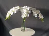 10 Teile/los Lebensechte Künstliche Schmetterling Orchidee Blume Seide Phalaenopsis Hochzeit Hause DIY Dekoration Gefälschte Blumen 7521150