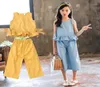 Summer Girls Suit Zestaw odzieży dla dzieci Baby Girl Tlee Bops Spodnie 2 szt. Ubrania Ostra Dziecko Tracksuit 6 8 9 10 12 lat16593999