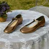 Casual Schuhe Phoentin Concise Gold Silber Echtes Leder Mary Janes Frauen Retro Low Heels 2024 Frühling Party Pumpen FT3144