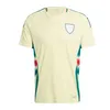 2024 Wales Home Away Soccer Jerseys BALE WILSON ALLEN RAMSEY Football Shirts Rodon VOKES National Team Camiseta De Futbol JOHNSON Men Kids Kit uniforms