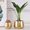 Plated Gold Ceramic Flower Pot Succulent Pots Flower Arrangement Vase Plant Pots Garden Supplies Planters Garden Pots Flowerpot 240304