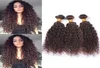 4 ciemnobrązowe perwersyjne kręcone brazylijskie ludzkie włosy splaty 3 wiązki czekoladowe brązowe dziewicze włosy wątki Kinky Curly Bundles D6451889