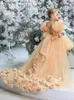 Champagne Flower Girl Dresses Tulle Puffy Petal And 3D Rose Flowres With Tailing For Wedding Birthday Banquet Princess Gowns 240312