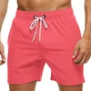 Herenshorts Zwembroek Strand Trekkoord met meshvoering Elastische taille Ademend Zacht Informeel Dagelijks Street chic Heren