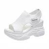 Populaire été nouveau tricoté poisson bouche chaussures fée Style Matsuda semelle haut talon volant tissage pente talon épais sport sandales pour femmes pantoufles A001