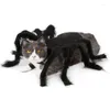 Costumi per gatti Halloween Pet Dog Cloth Spider Nero Carino Fancy Dress Up Piccoli vestiti Cucciolo Gattino Senza restrizioni
