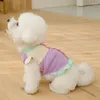 Vêtements de chien printemps et automne de petite couleur de contraste de couleur jupe chat bipèds en peluche en peluche