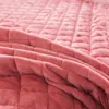 Bedrok Koreaanse stijl kant geborduurd winter velours kristal fluweel roze rokken