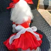 Vêtements de chien Pet Princess Girls Robes à la main Tissu haut de gamme Bowknot Vêtements de perles pour petite robe moyenne Vêtements Caniche