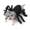 Costumi per gatti Halloween Pet Dog Cloth Spider Nero Carino Fancy Dress Up Piccoli vestiti Cucciolo Gattino Senza restrizioni