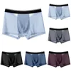 Underpants Men Ice Silk Underwear Sheer Mesh Lightweight Boxer Shorts Sexy Breathable Transparent Briefs Elastic Male