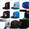 28 ألوانًا للرجال للبيسبول القبعات Snapback Classic جميع الفرق الزهور Black Green Hip Hop Chicago.