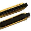 Instrument 10 hål harmonica mässing färg gaita blues porslin berömda varumärke harp blues musikinstrument munnen ogan 10 hål harmonica