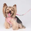 Guinzagli per cani di design di lusso collari guinzaglio set modello classico animali domestici in rete traspirante imbracature per animali domestici cani di piccola taglia barboncino schnauzer