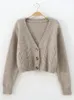 Kvinnors stickor Kort stil med hög midja Slim Plastic Sweater Women 2024 Spring Single-Breasted Sticked Cardigan Twist liten jacka