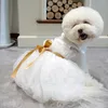 Дизайнерская одежда для собак. Платья для маленьких собак. Кошка. Щенок. Необычная одежда на свадьбу, день рождения. Белая одежда в западном стиле с золотой лентой. Товары для домашних животных.