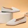 Casual Shoes 2024 Spring and Summer Fashion Point Toe White Plaid stor storlek Flat Bottom kvinnors bekväma promenader